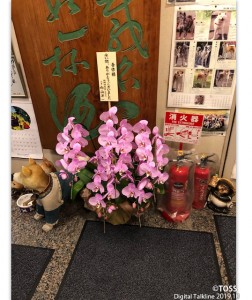 向山先生が送った胡蝶蘭は、店の入り口に飾られていた。