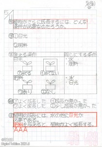 ５年理科　植物の発芽と成長