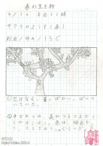 ４年春の生き物