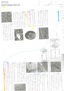 3年生の説明文の読み取り