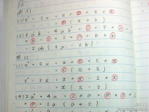 写真①（カラー）