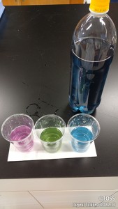 P47-1 バタフライピ―