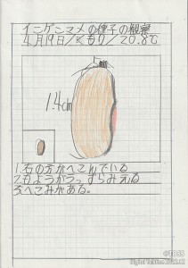 P2-右 IMG_20220905_0002