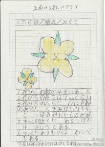 P2-左 IMG_20220905_0001