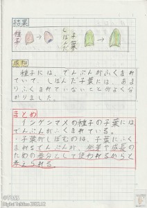 P3-右 IMG_20220904_0004