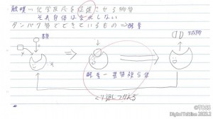 写真左_本人の画像