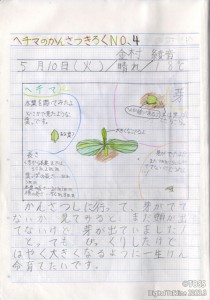 P2②_観察ノート_01