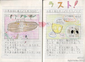 P2②_観察ノート_03