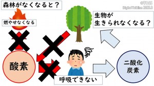 P41 生物と地球環境ALイラスト修正版
