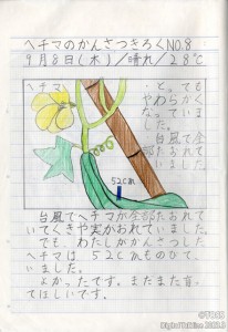 P2②_観察ノート_02