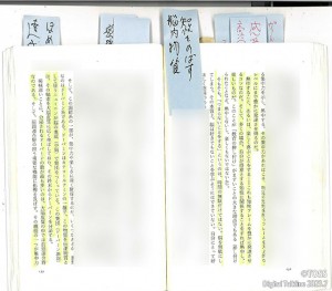 幼児教育と脳-ウェブ１