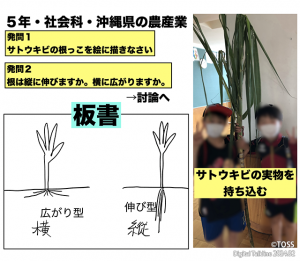 P23_塩谷画像サトウキビ実践