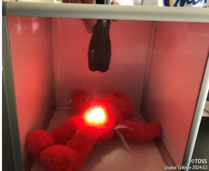 P24_231112実験画像光と色