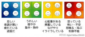 P50 豊田雅子画像2_2