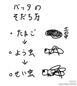 P40 小森栄治画像2