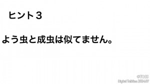 P41 小森栄治画像3