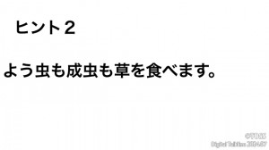 P41 小森栄治画像7