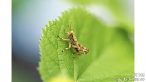 P41 小森栄治画像9