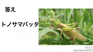 P41 小森栄治画像10