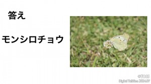 P41 小森栄治画像5