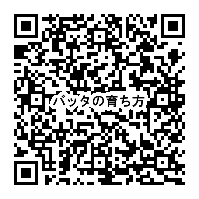 バッタの育ち方