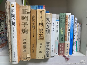 P22 井戸砂織画像3