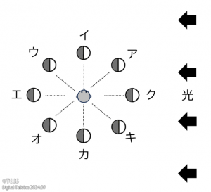 P40 尾川智子(小森栄治)「基礎基本」画像1