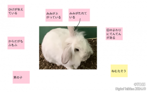 P28 平眞由美(小林智子)画像1