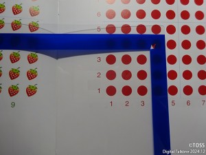 P31 勇和代画像4