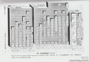 P53 鈴木恭子画像3（差し替え）